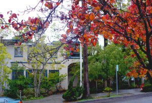 A view of our facility shrouded by autumn leaves which houses our long-term residential rehab (START) program